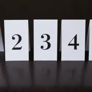 Table number cards (set of 5)