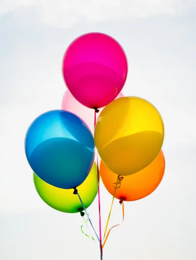 Basic balloon bouquet (5 balloons)